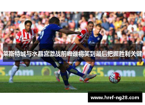 莱斯特城与水晶宫激战前瞻谁将笑到最后把握胜利关键 莱斯特城与水晶宫激战前瞻谁将笑到最后把握胜利关键