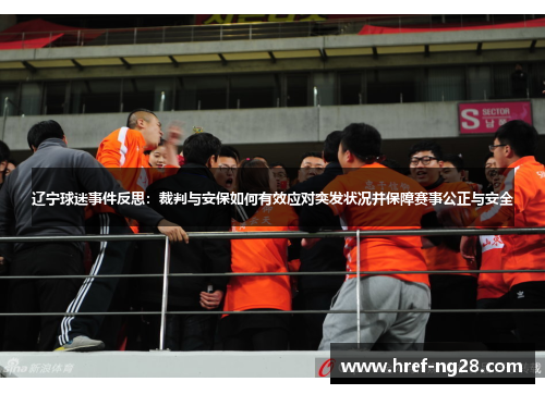 辽宁球迷事件反思：裁判与安保如何有效应对突发状况并保障赛事公正与安全