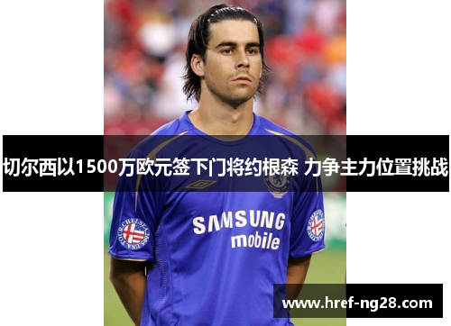 切尔西以1500万欧元签下门将约根森 力争主力位置挑战 切尔西以1500万欧元签下门将约根森 力争主力位置挑战