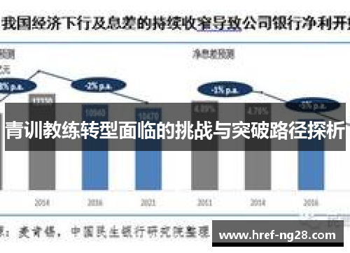 青训教练转型面临的挑战与突破路径探析