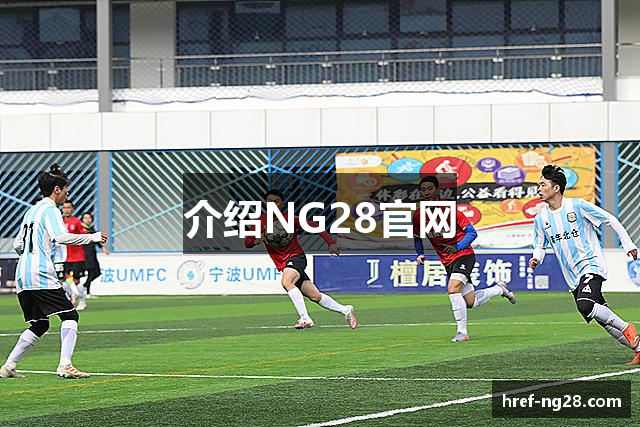 介绍NG28官网